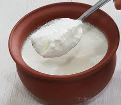 Curd available at Novem Square through DeskDrop